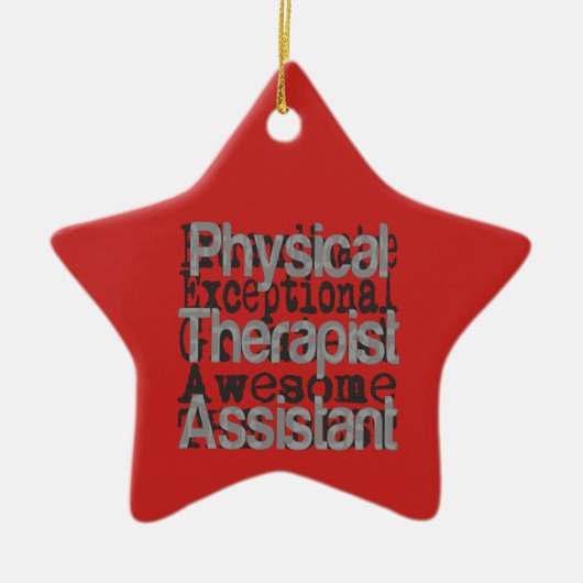 Fysieke Therapist Assistant Extraordinaire Keramisch Ornament (Voorkant)