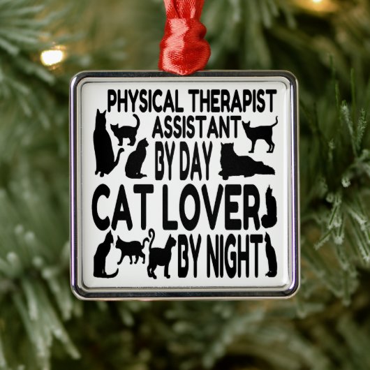 Fysieke Therapist Assistant houdt van katten Metalen Ornament (Boom)