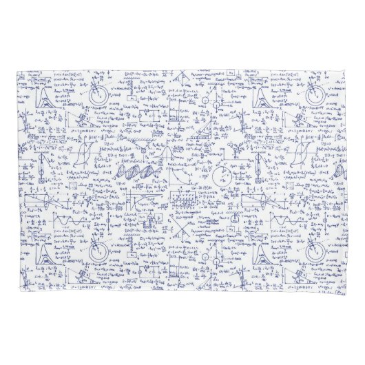 Fysieke vergelijkingen in blauwe pen // kussensloop (Voorkant)