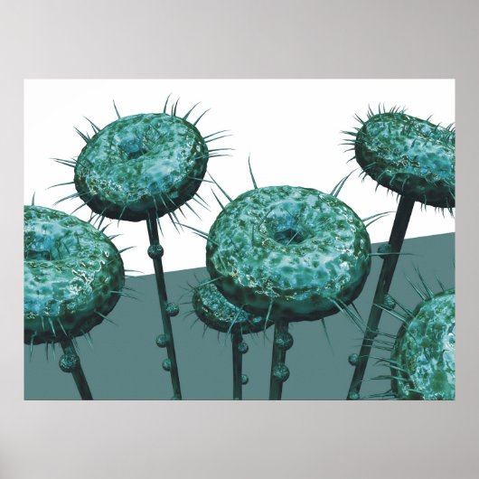 G06 POSTER (Voorkant)