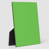G10 vreedzame, creatieve groene kleur fotoplaat (Zijkant)