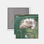 G.I. Hedgehog Magneet (Voorkant / Achterkant)