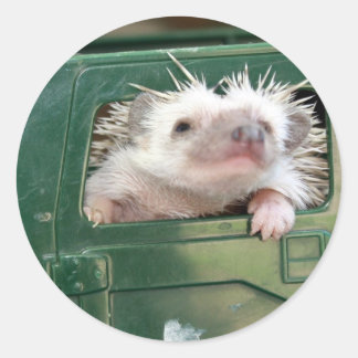G.I. Hedgehog Ronde Sticker