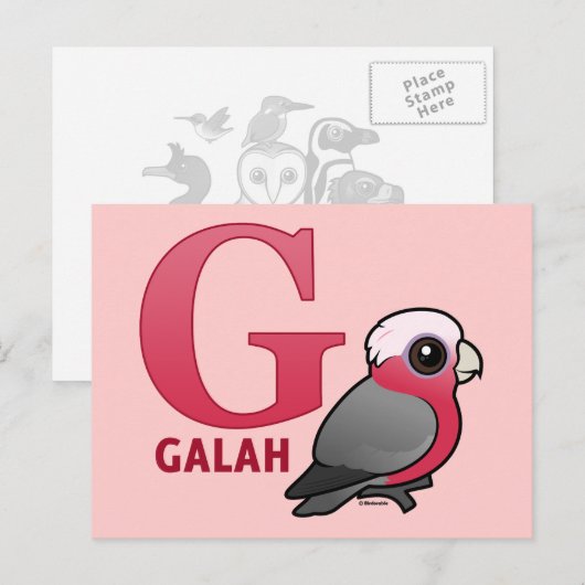 G is voor Galah Briefkaart (Voorkant / Achterkant)