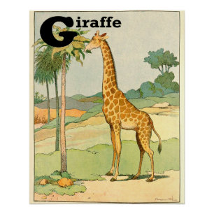 G is voor Giraffe Alfabet Animals Perfect Poster