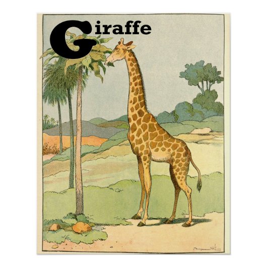 G is voor Giraffe Alfabet Animals Perfect Poster (Voorkant)