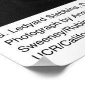 G. Ledyard Stebbins, UC Davis, 1966 Poster (Hoek)