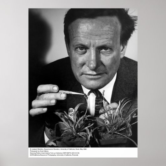 G. Ledyard Stebbins, UC Davis, 1966 Poster (Voorkant)