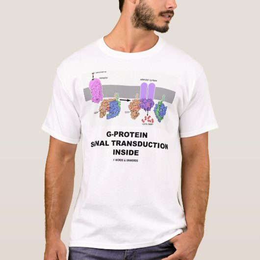 G-Proteïnesignaaltransductie binnen T-shirt (Voorkant)