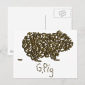 "G. Varkens" met Classic Guinea Pig Briefkaart (Voorkant / Achterkant)