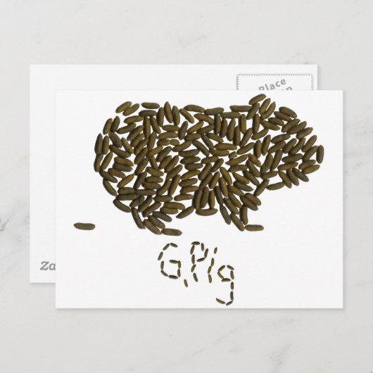 "G. Varkens" met Classic Guinea Pig Briefkaart (Voorkant / Achterkant)