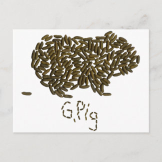 "G. Varkens" met Classic Guinea Pig Briefkaart