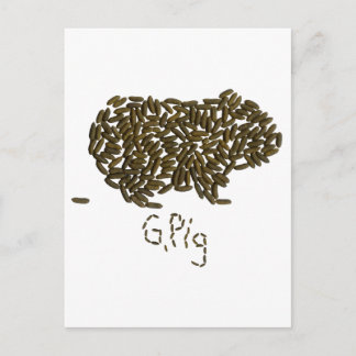 "G. Varkens" met Classic Guinea Pig Briefkaart