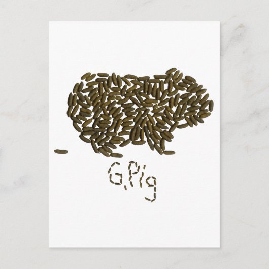 "G. Varkens" met Classic Guinea Pig Briefkaart (Voorkant)