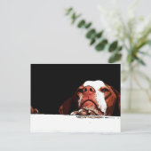 Ga alsjeblieft niet weg briefkaart (Staand voorkant)