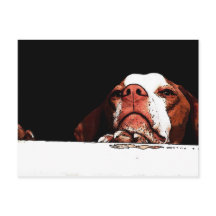 Ga alsjeblieft niet weg