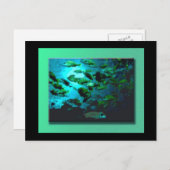 GA Aquarium-Briefkaart Briefkaart (Voorkant / Achterkant)