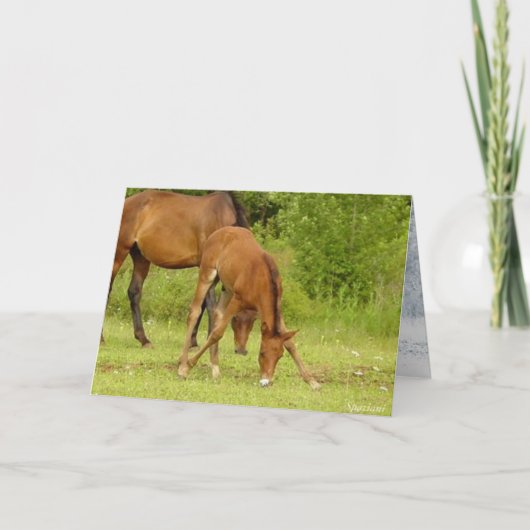 "Ga baby, ga! Wenskaart Kaart (Voorkant)