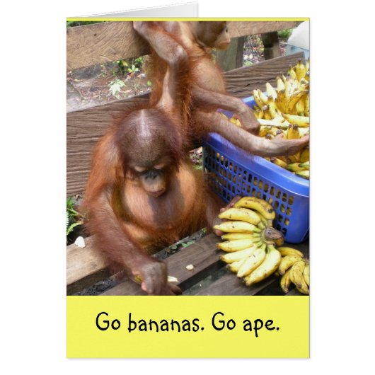 Ga Bananen. Ga Ape (Voorkant)