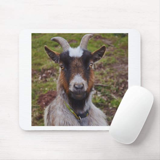 Ga dicht bij elkaar. muismat (Met muis)