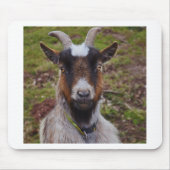 Ga dicht bij elkaar. muismat (Voorkant)