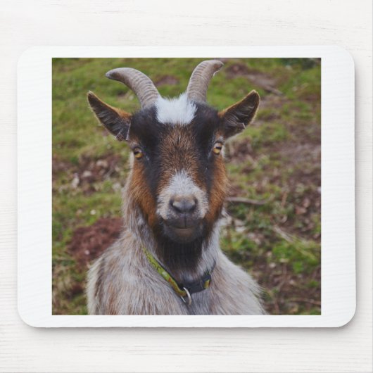 Ga dicht bij elkaar. muismat (Voorkant)