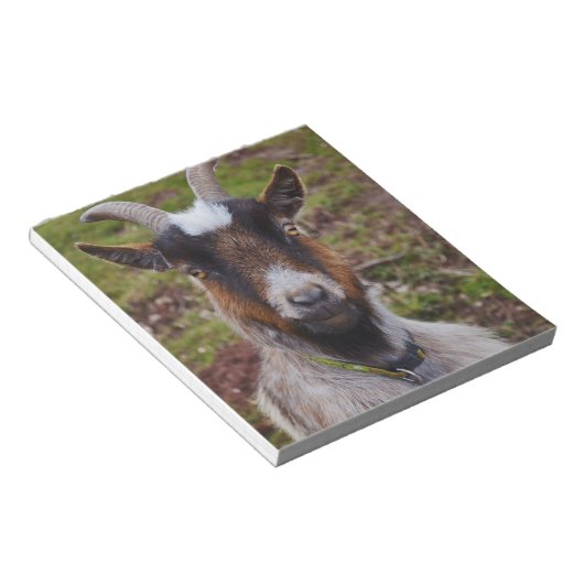 Ga dicht bij elkaar. notitieblok (Schuin)