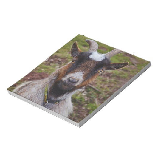 Ga dicht bij elkaar. notitieblok (Linkerzijde)