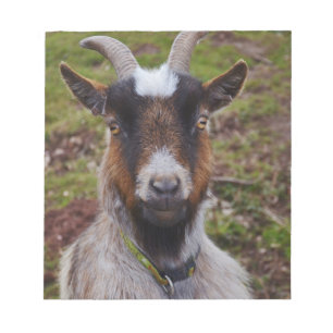 Ga dicht bij elkaar. notitieblok