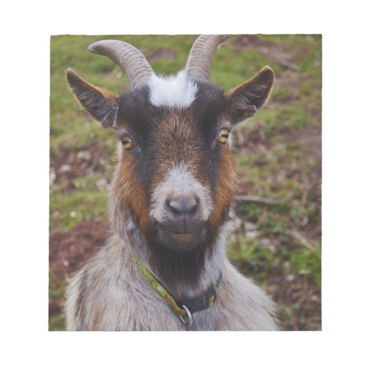 Ga dicht bij elkaar. notitieblok (Voorkant)