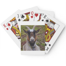 Ga dicht bij elkaar.