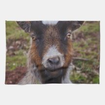 Ga dicht bij elkaar.