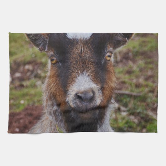 Ga dicht bij elkaar. theedoek (Horizontaal)