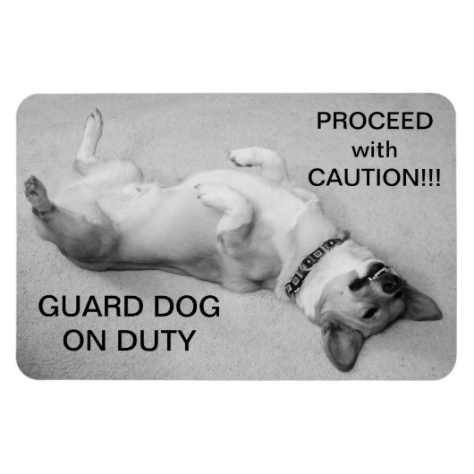 Ga door met voorzichtige magneet (Horizontaal)