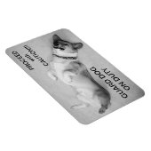 Ga door met voorzichtige magneet (Rechterzijde)