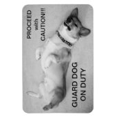 Ga door met voorzichtige magneet (Verticaal)