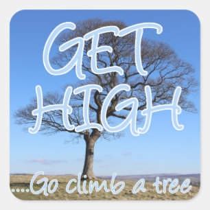 Ga een boomarborist klimmen vierkante sticker