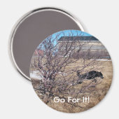 Ga ervoor! magneet (Voorkant / Achterkant)