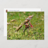 Ga helemaal naar huis met paaspaaspaasBriefkaart Briefkaart (Voorkant / Achterkant)