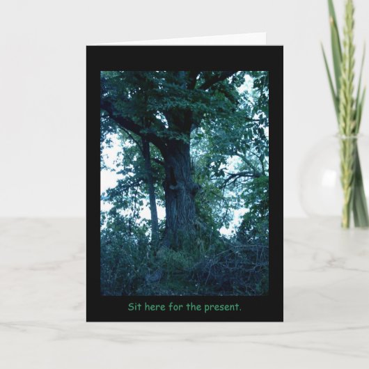 Ga hier zitten Tree Kaart (Voorkant)