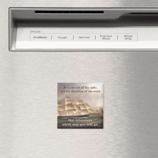 Ga je eigen kant op magneet (Insitu (Vaatwasser))