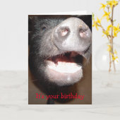 Ga je gang en schreeuw, Varken Verjaardagskaart Kaart (Gele Bloem)