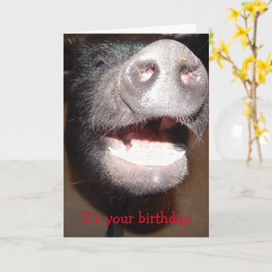 Ga je gang en schreeuw, Varken Verjaardagskaart Kaart (Gele Bloem)