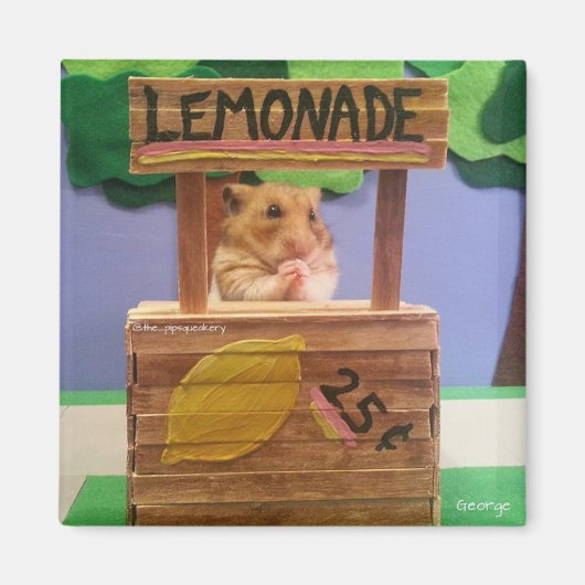 Ga je limonade kopen?  alsjeblieft? magneet (Voorkant)