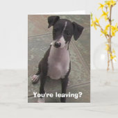 Ga je weg? kaart (Gele Bloem)