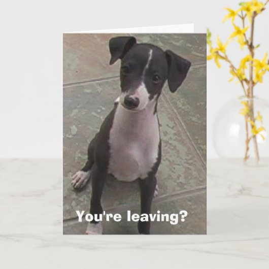 Ga je weg? kaart (Gele Bloem)