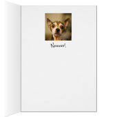 Ga je weg? Neeee! Leuke Chihuahua-hond (Binnen (Rechts))