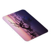 GA Jekyll Island, Boom begraafplaats op strand op Magneet (Rechterzijde)