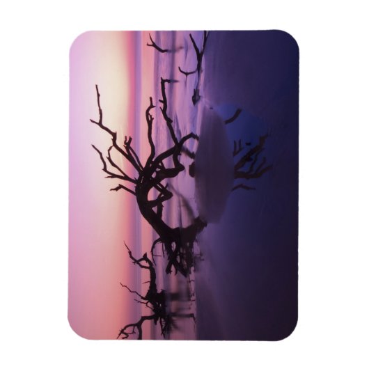 GA Jekyll Island, Boom begraafplaats op strand op Magneet (Verticaal)