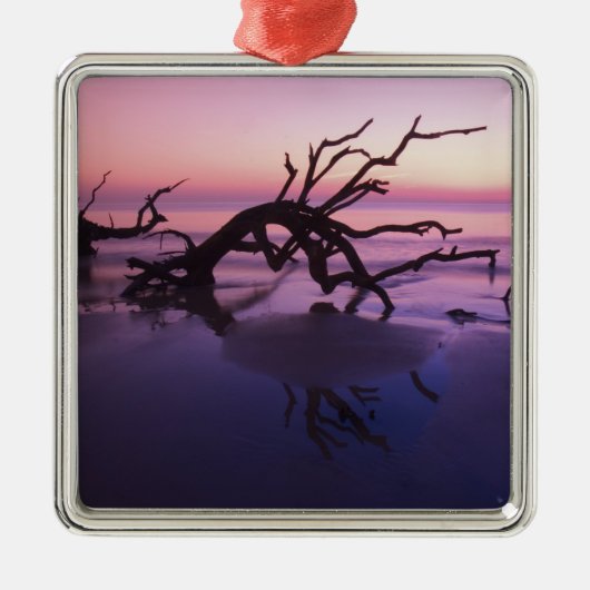 GA Jekyll Island, Boom begraafplaats op strand op Metalen Ornament (Voorkant)